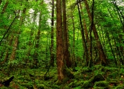 九游体育APP下载-尼克斯淘汰赛过关奇才，文班亚马赛后评分拉满，新星闪耀的夜晚与战术的胜利