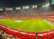 -当狐狸露出獠牙，深圳猎龙记与篮球场上的唯一性法则