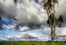 九游娱乐app下载-爵士大逆转篮网：哈里斯绝境逆转，再显NBA的戏剧魅力