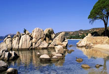 九游体育直播-中国羽毛球队横扫韩国羽毛球队，马琳完成帽子戏法